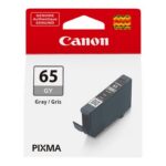 Canon CLI-65 GY - siva - izvirnik - črnilni vložek