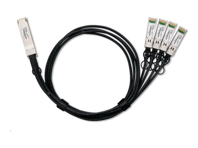 b7cd982e-427a-4139-96b6-a62b5037b35c Zyxel 100GBase-AOC kabel za neposredno pritrditev - 3 m - slika 1